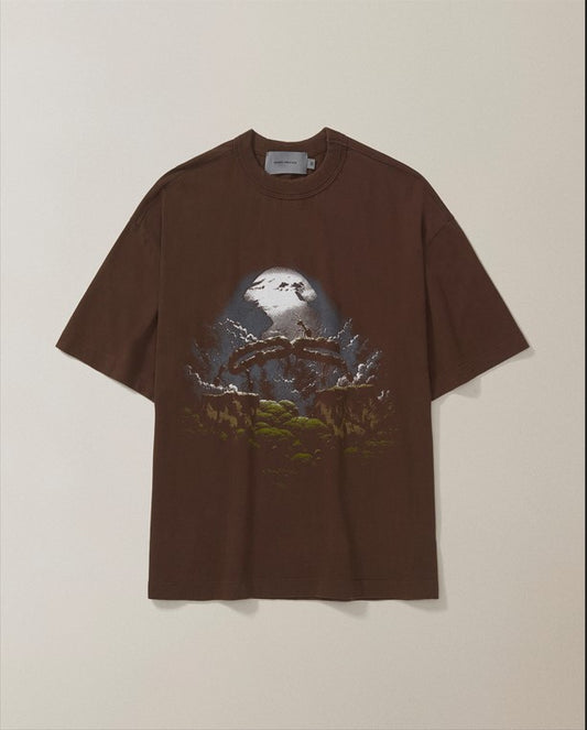 CAMISETA QC FORMIGAS BOXY STONED MARROM